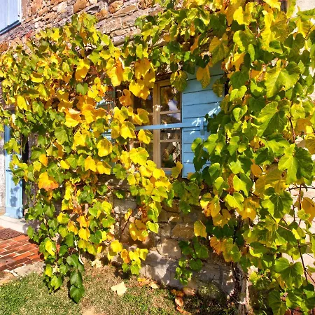 Dobrinja - A Boutique Hideaway Marezige