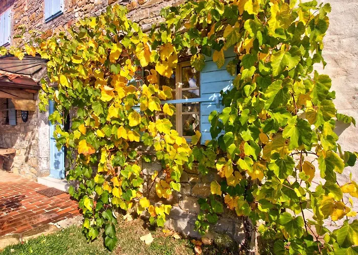 Dobrinja - A Boutique Hideaway Marezige